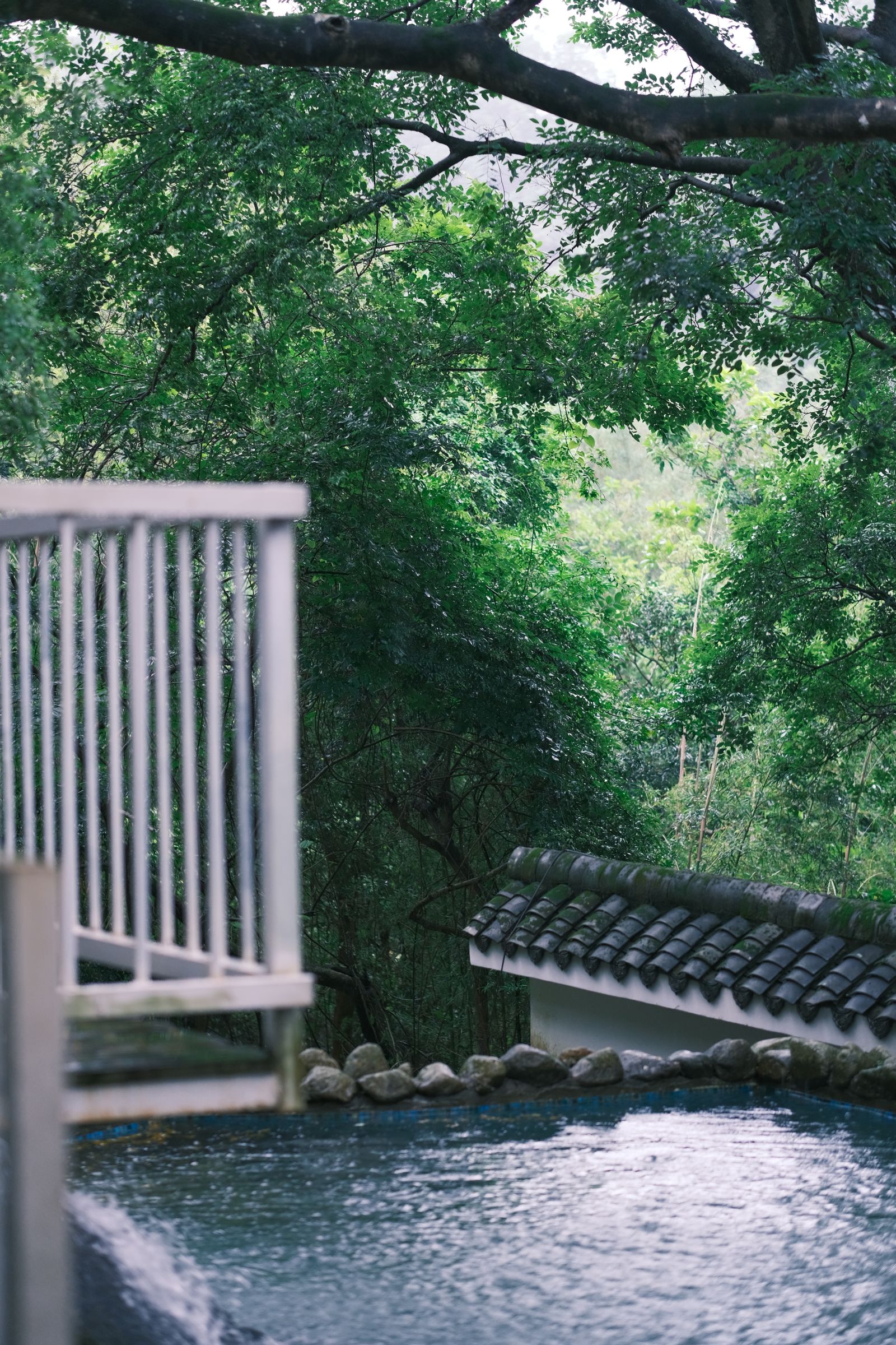 水景と緑の日本庭園